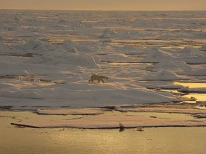 A study has found that the Beaufort sea is acidifying faster than any other ocean. Image credit: Collection of Dr. Pablo Clemente-Colon, NOAA National Ice Center.